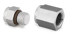 Pipe Fittings Caps and Plugs